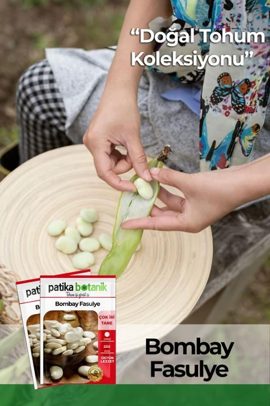 20 Adet Bombai Fasulye Tohumu ürün görseli