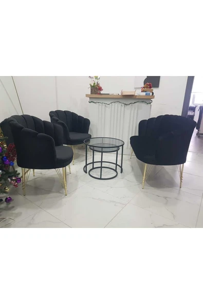 GARDEN HOUSE Siyah Metal Ayaklı Papatya Çay Koltuk Takımı Bekleme-ofis Koltuk Takımı Berjer Cafe Sandalyesi - 4