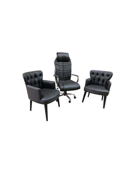 GARDEN HOUSE 4 Tekli Siyah Deri Berjer ve Makam Koltuğu - Ofis, Bekleme, Kuaför Takımı - 2