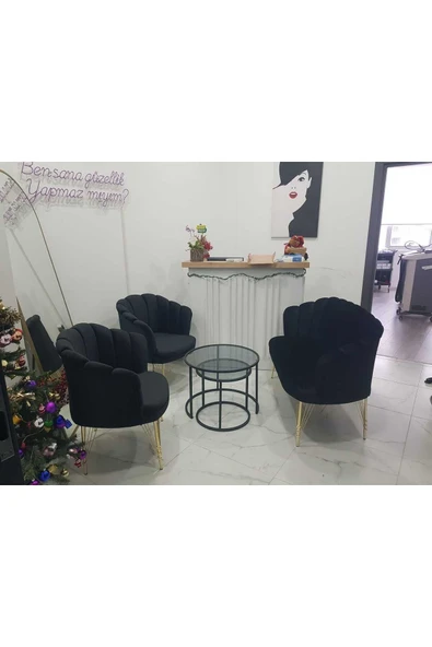 GARDEN HOUSE  Siyah Kumaş Metal Gold Ayaklı Papatya Çay Seti Koltuk Takımı Bekleme Ofis Koltuk Takımı - 3