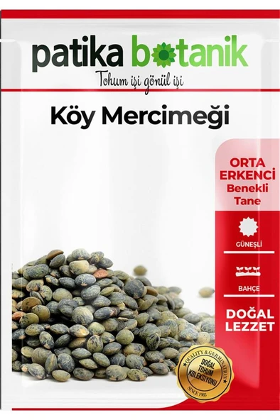 500 Adet Köy Mercimeği Tohumu - 2