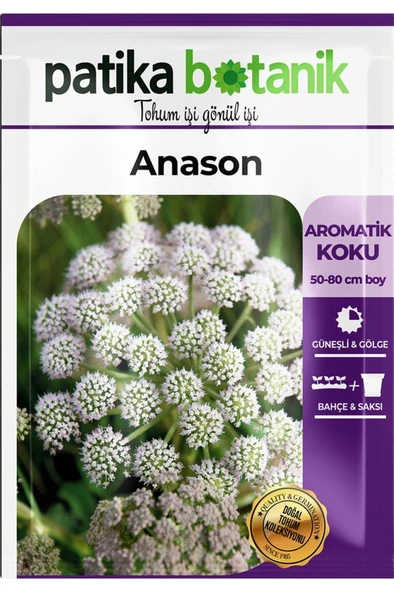 100 Adet Anason Tohumu - 2