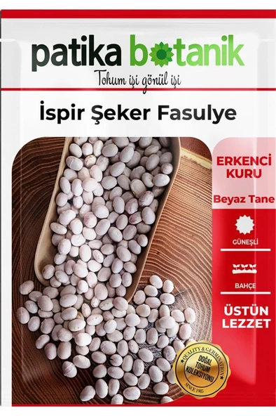 50 Adet İspir Şeker Fasulye Tohumu - 2