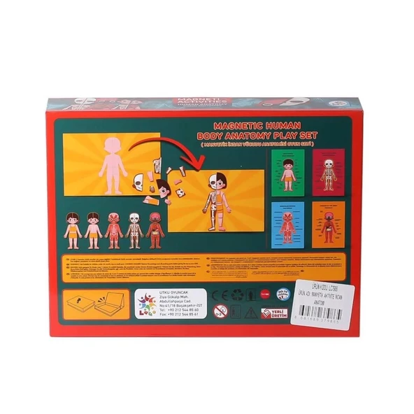 LC986ManyetikAktiviteİnsanAnatomisi-Laço - 3