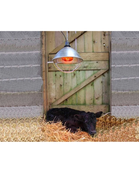 Isıtıcı Ampul 250 Watt Beyaz - 4