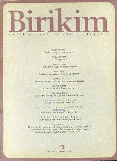 Birikim 2 Haziran 1989
