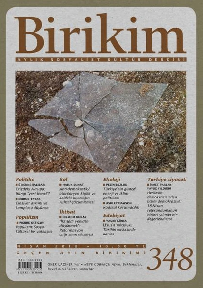 Birikim 348 Nisan 2018