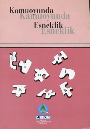 Kamuoyunda Esneklik ürün görseli