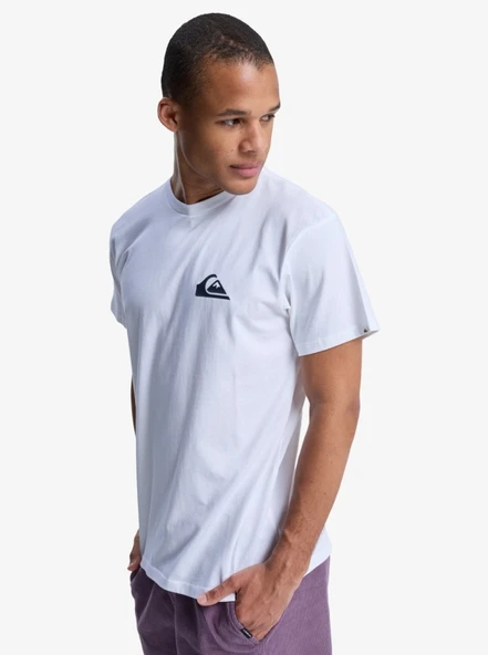 Quiksilver Eqyzt08042 Ev Mini Logo Ss Beyaz Erkek T-Shirt - 2