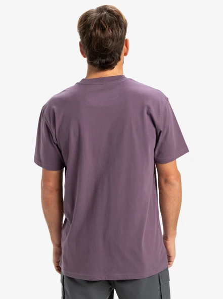 Quiksilver Eqyzt08042 Ev Mini Logo Ss Mor Erkek T-Shirt - 4