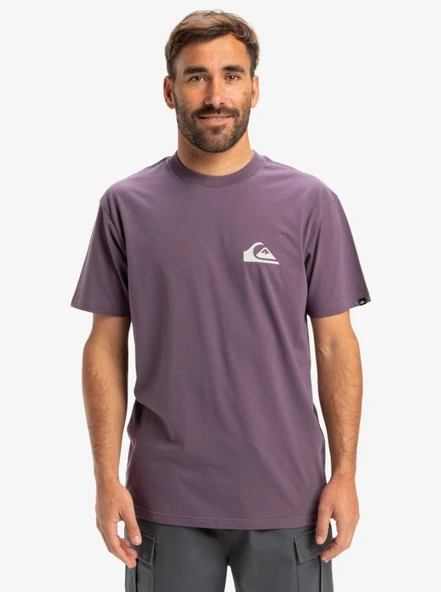 Quiksilver Eqyzt08042 Ev Mini Logo Ss Mor Erkek T-Shirt