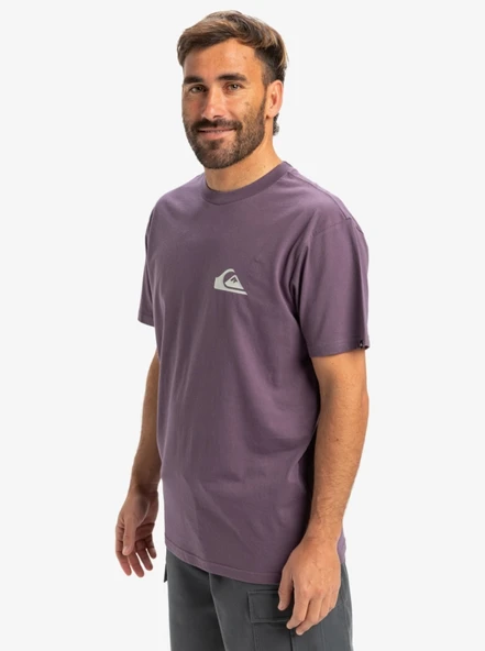 Quiksilver Eqyzt08042 Ev Mini Logo Ss Mor Erkek T-Shirt - 2