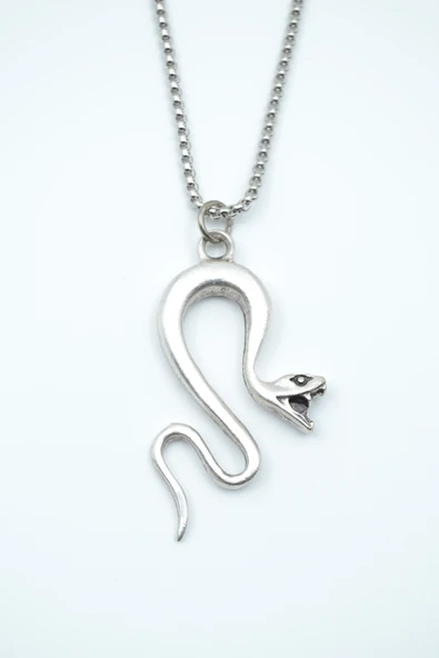 Yılan Gümüş Kaplama Örme Zincir Kolye ürün görseli 1