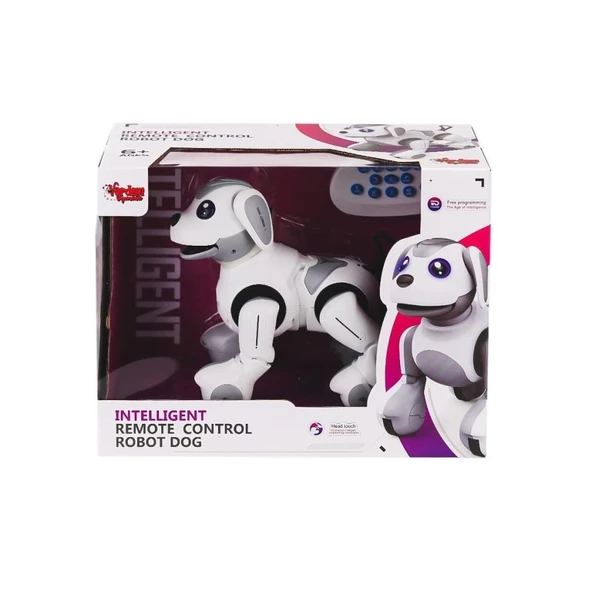 Çocuk Gelişim Kumandalı Şarjlı İnteraktif Akıllı Robot