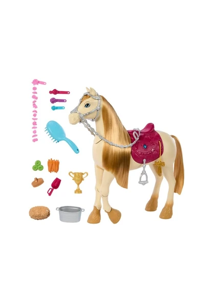 Barbie Dansçı Atı HXJ42 Lisanslı Ürün ürün görseli 1