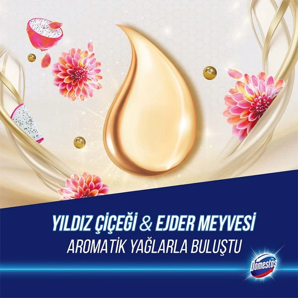 Domestos Tuvalet Bloğu Aroma Lux Yıldız Çiçeği & Ejder Meyvesi 100 G + Hibiskus & Kırmızı Meyveler - 5
