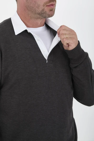 Polo Yaka Selanik Örme Kumaş Erkek Sweatshirt - Füme - 2