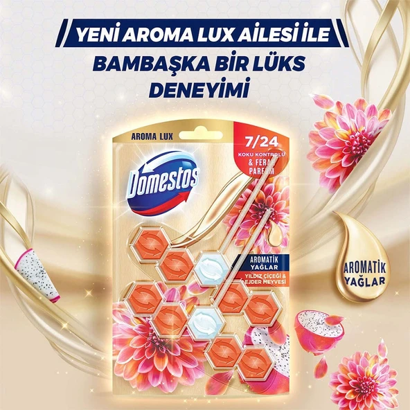 Domestos Tuvalet Bloğu Aroma Lux Yıldız Çiçeği & Ejder Meyvesi 100 G + Hibiskus & Kırmızı Meyveler - 3