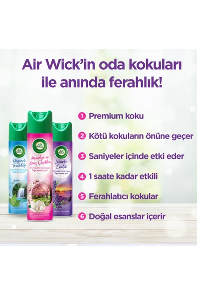 Air Wick Sprey, Aerosol Oda Kokusu  Lavanta Esintisi 300 ml 1 Adet - 4