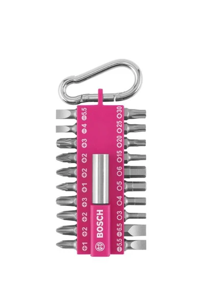 Bosch DIY-P 21 Parça Vidalama Ucu Seti (Fuşya)-2607002821