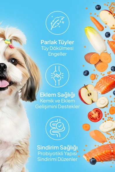 Chefs Kibbles Norveç Somonlu Küçük ve Mini Irk Köpek Maması 15KG - 2