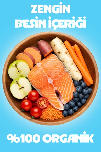 Chefs Kibbles Norveç Somonlu Küçük ve Mini Irk Köpek Maması 15KG - 4