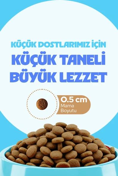 Chefs Kibbles Norveç Somonlu Küçük ve Mini Irk Köpek Maması 15KG - 3