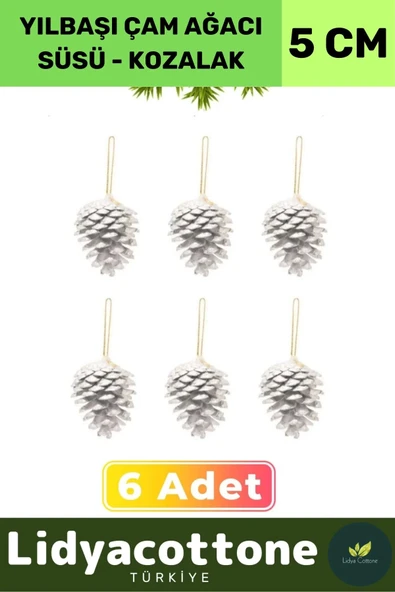 Noel Yeni Yıl Kış Yılbaşı Çam Ağacı Süsü Kozalak Seti Dekorasyon Kutlama Parti Süs 6'LI