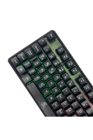 Dexim KBL707 Mekanik Hisli RGB Led Arka Işıklı Şeffaf Gaming Oyuncu Klavye - 4