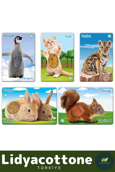 Premium İnce Motor Gelişimi Görsel Algı Eğlenceli Eğitim Kartları Dokun Hisset Tanı Yavru Hayvanlar - 3
