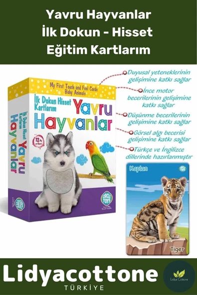 Premium İnce Motor Gelişimi Görsel Algı Eğlenceli Eğitim Kartları Dokun Hisset Tanı Yavru Hayvanlar