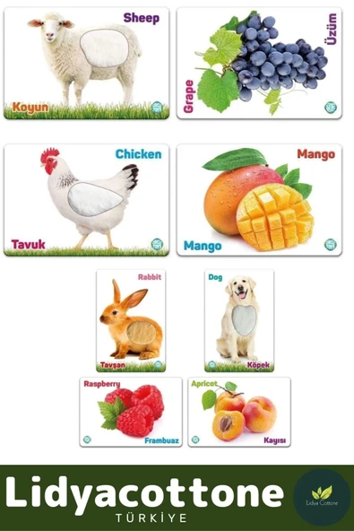 Premium I?nce Motor Gelişimi Görsel Algı Öğrenme Dokun Hisset Çiftlik Hayvanları Ve Meyveler - 2