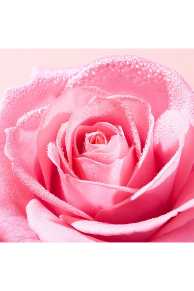 NUXE Very Rose Tazeleyici Tonik Losyon 200 ml 3264680043376 - 3