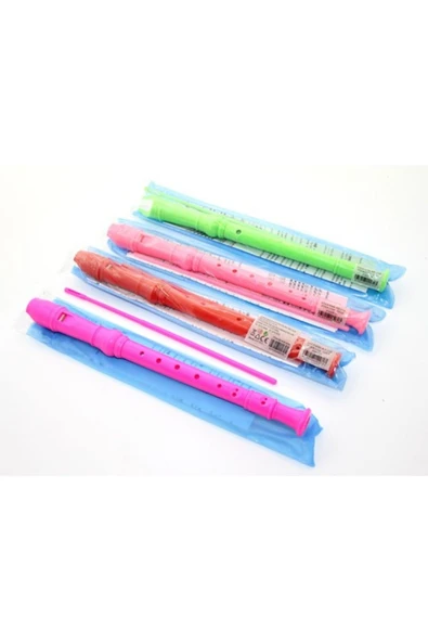 Renkli Plastik Flüt