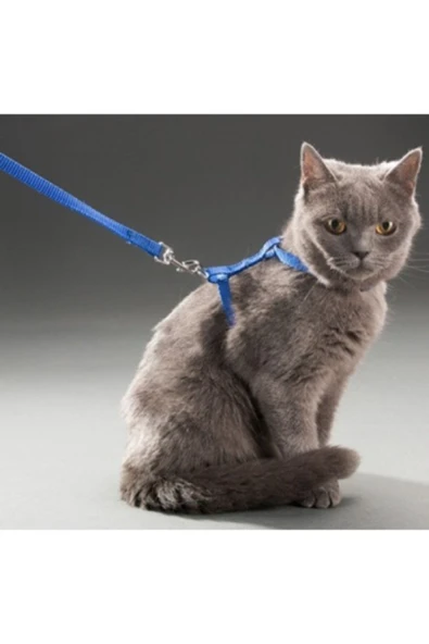Kedi Boyun ve Göğüs Tasması