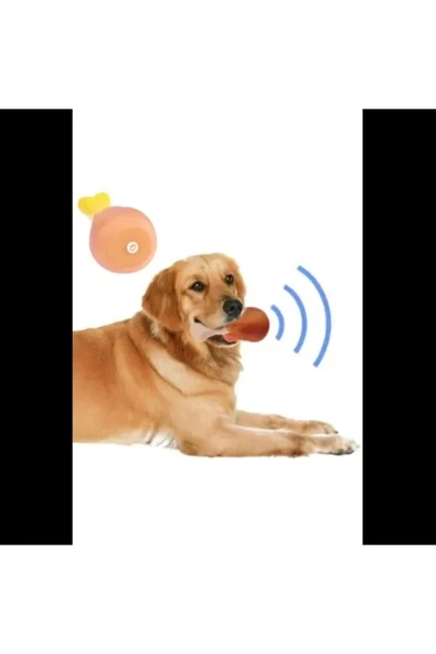 Köpekler İçin Sesli Oyuncak Tavuk Butu