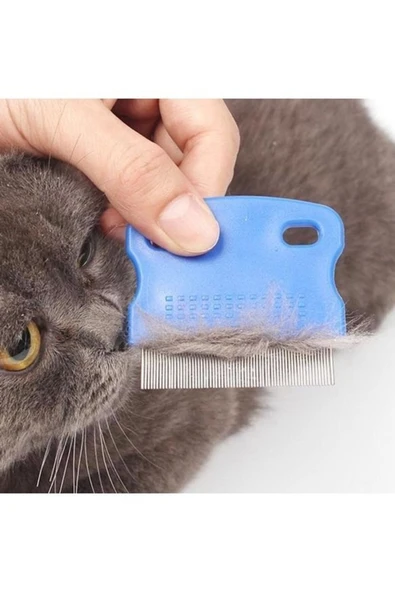 Kedi Köpek Pire Tarağı