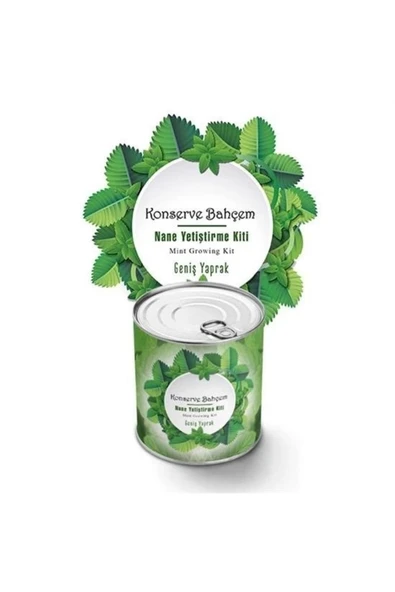Buffer® Konserve Bahçem Nane Yetiştirme Kiti