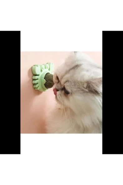 Yengeç Kedi Otu Oyun Topu