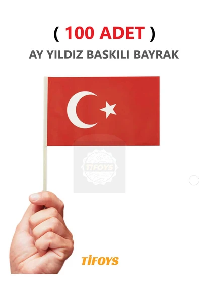 TİFOYS  ( 100 Adet ) Küçük Boy Çıtalı Kağıt Türk Bayrağı