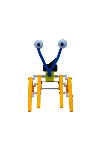 TİFOYS  Örümcek Robot - 2