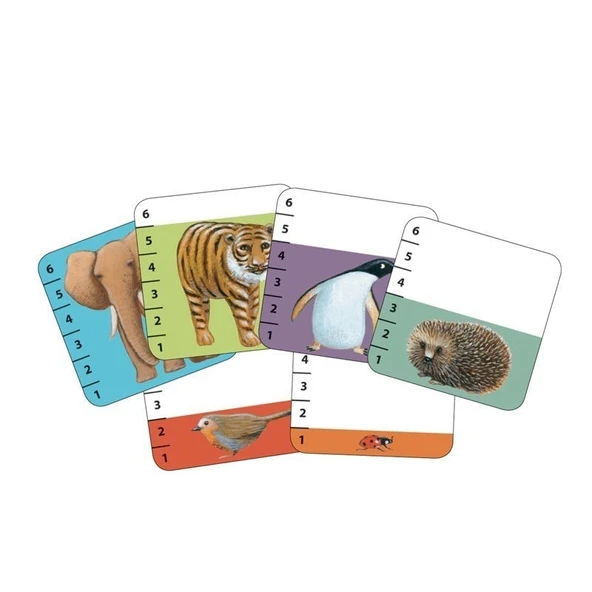 Djeco Kart Oyunları - Batanimo - 2