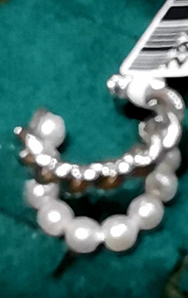 Monalisa Home Lüks Çelik Gümüş Renk Kıkırdak Küpe