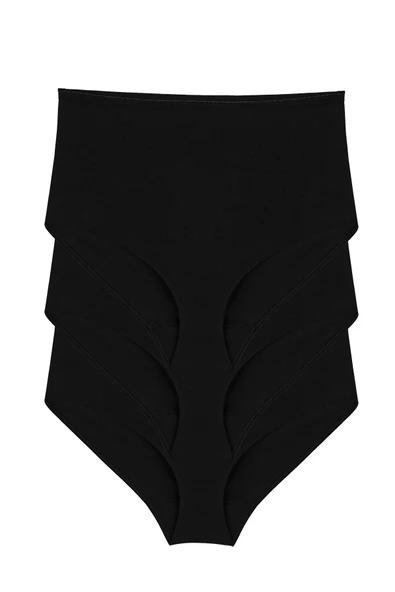 Bsm Kadın Modal Yüksek Bel 3Lü Külot 48633 - Resim 6