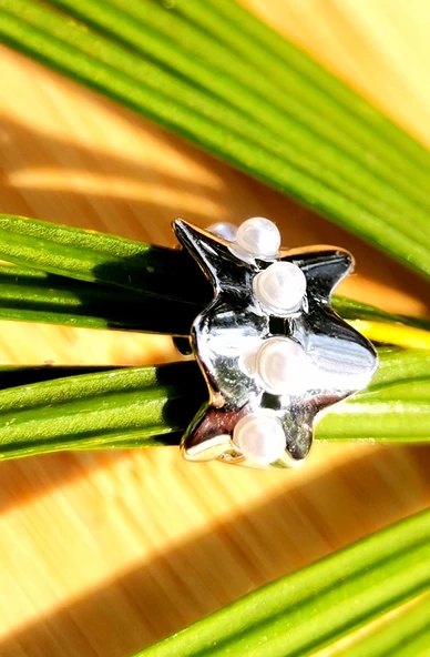 Monalisa Home Lüks Çelik Gümüş Renk Kıkırdak Küpe