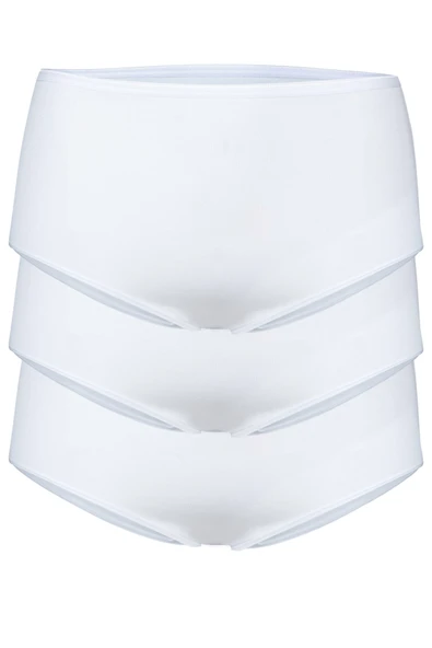 Bsm Kadın Modal Yüksek Bel 3Lü Külot 48633 - Resim 2