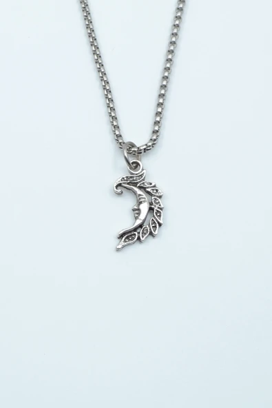 Minimal Ay Dede Gümüş Kaplama Örme Zincir Kolye ürün görseli 1