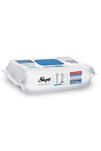 Easy Clean Arap Sabunlu 200 Yaprak Ve Çamaşır Sulu 200 Yaprak Yüzey Havlusu - 2