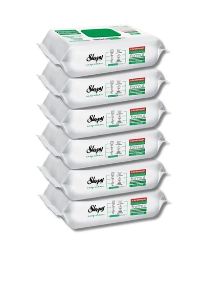 Easy Clean Yüzey Tem. Havlusu 100 X6 Adet