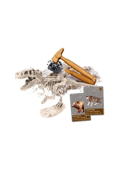 Clementoni Bilim ve Oyun Dünyadaki Yaşamın Tarihi 64839 Lisanslı Ürün - Resim 3